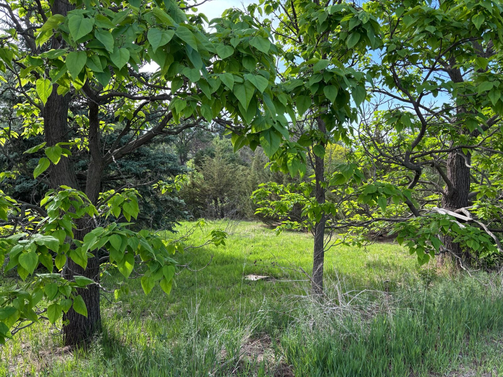 North Platte, NE vacant lot for sale