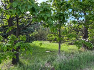 North Platte, NE vacant lot for sale