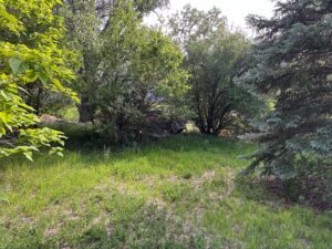 North Platte, NE vacant lot for sale
