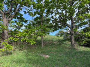 North Platte, NE vacant lot for sale