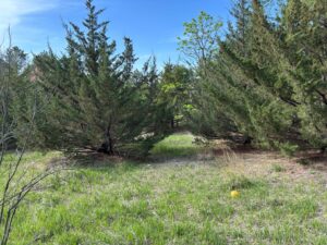 North Platte, NE vacant lot for sale