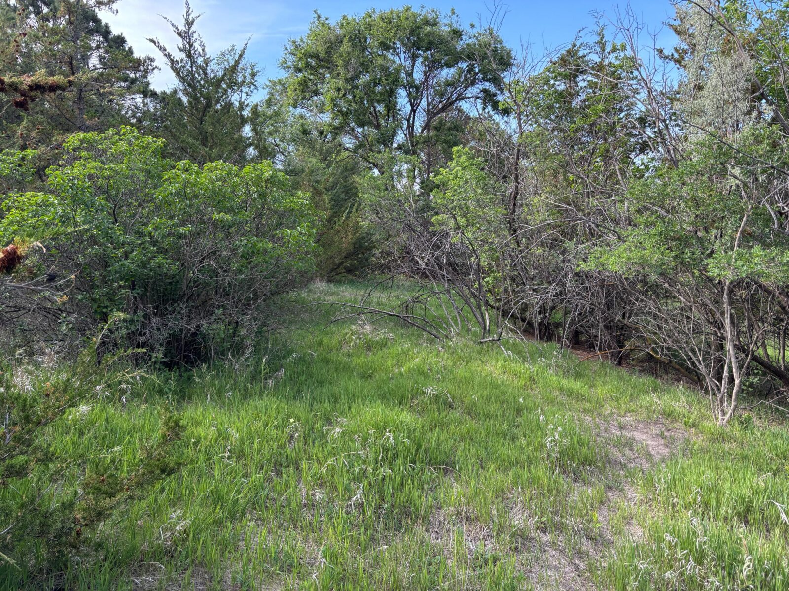 North Platte, NE vacant lot for sale
