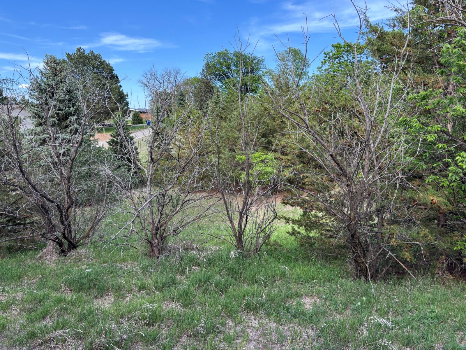 North Platte, NE vacant lot for sale