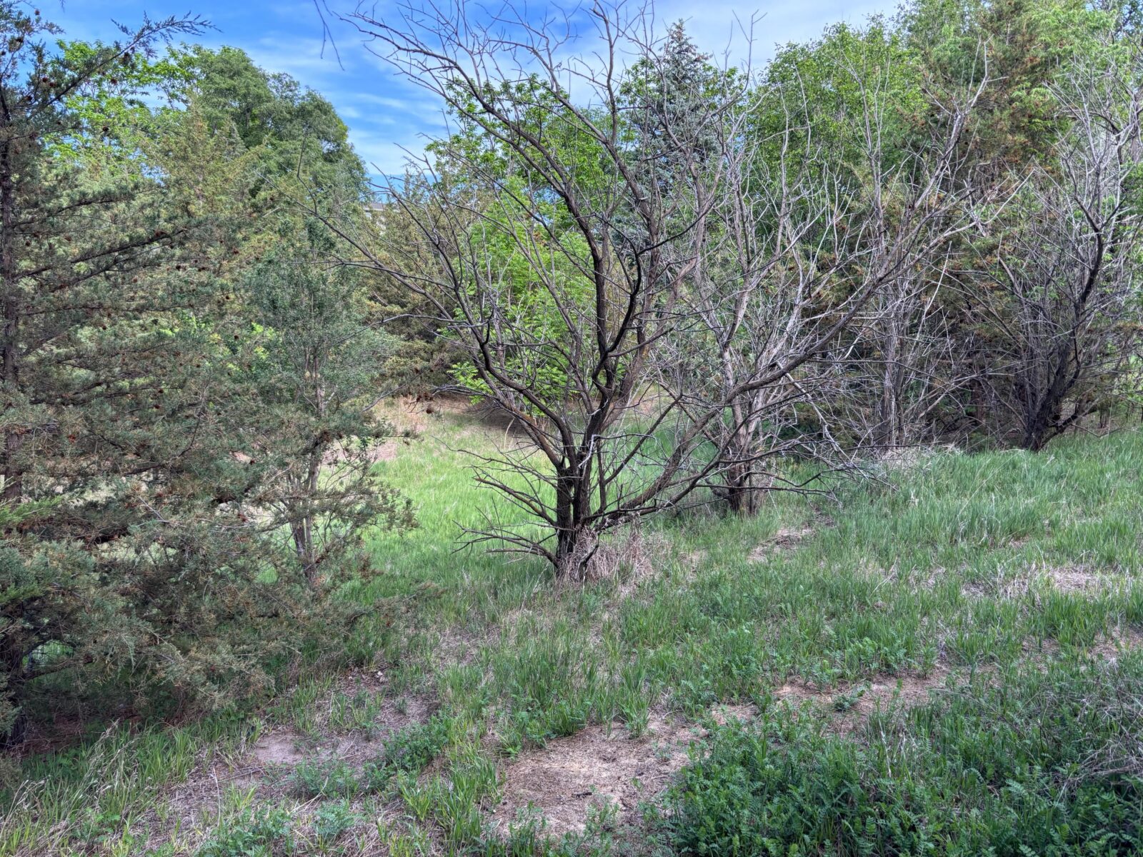 North Platte, NE vacant lot for sale