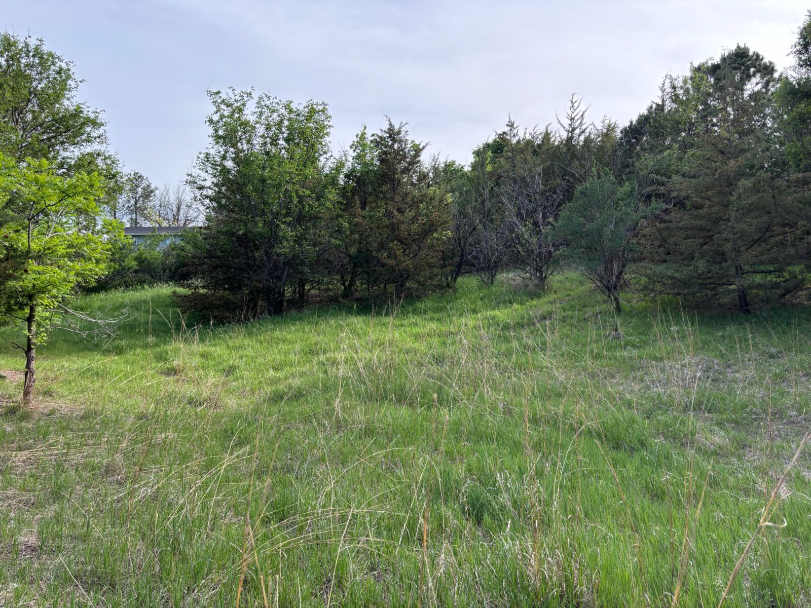 North Platte, NE vacant lot for sale