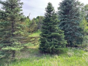 North Platte, NE vacant lot for sale