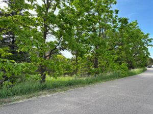 North Platte, NE vacant lot for sale