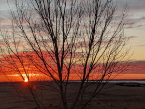 711 Highway 92 West, Lemoyne, NE