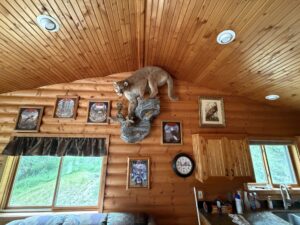 Holt County Nebraska Hunting land for sale