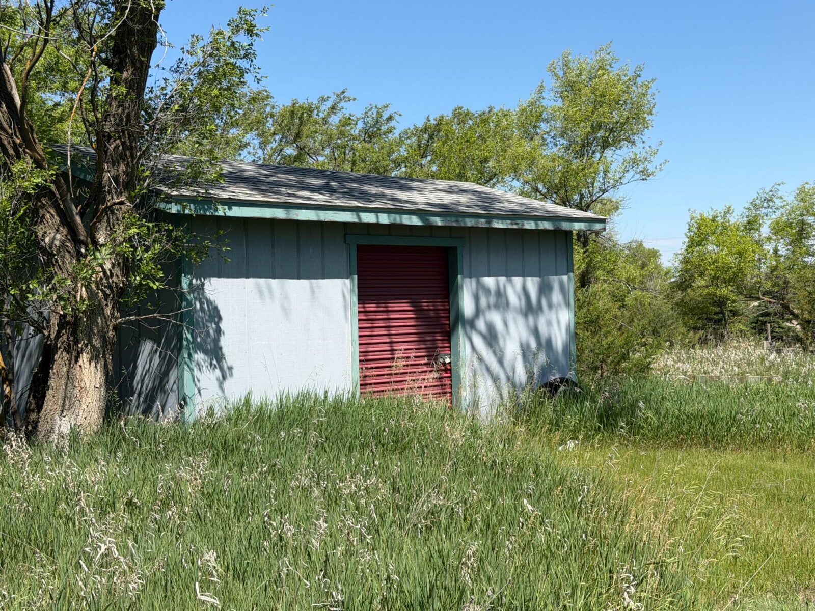 Long Pine, NE cabin and acreage for sale