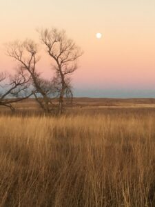 Ainsworth Nebraska acreage for sale