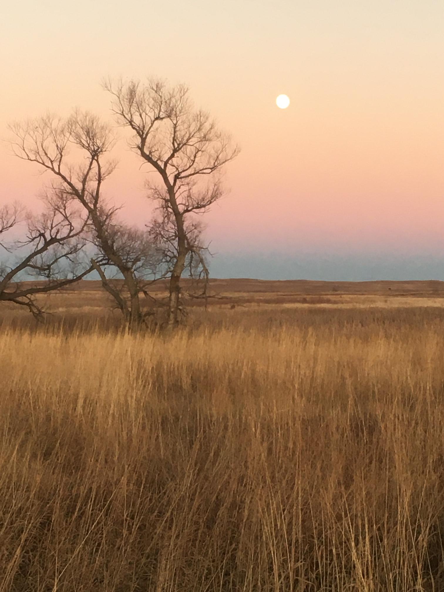 Ainsworth Nebraska acreage for sale
