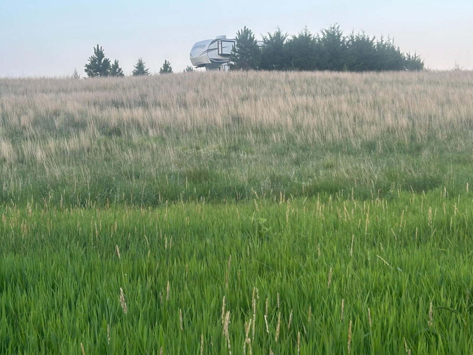 39 Acres, Brown County, Yellowthroat Haven