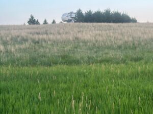 39 Acres, Brown County, Yellowthroat Haven