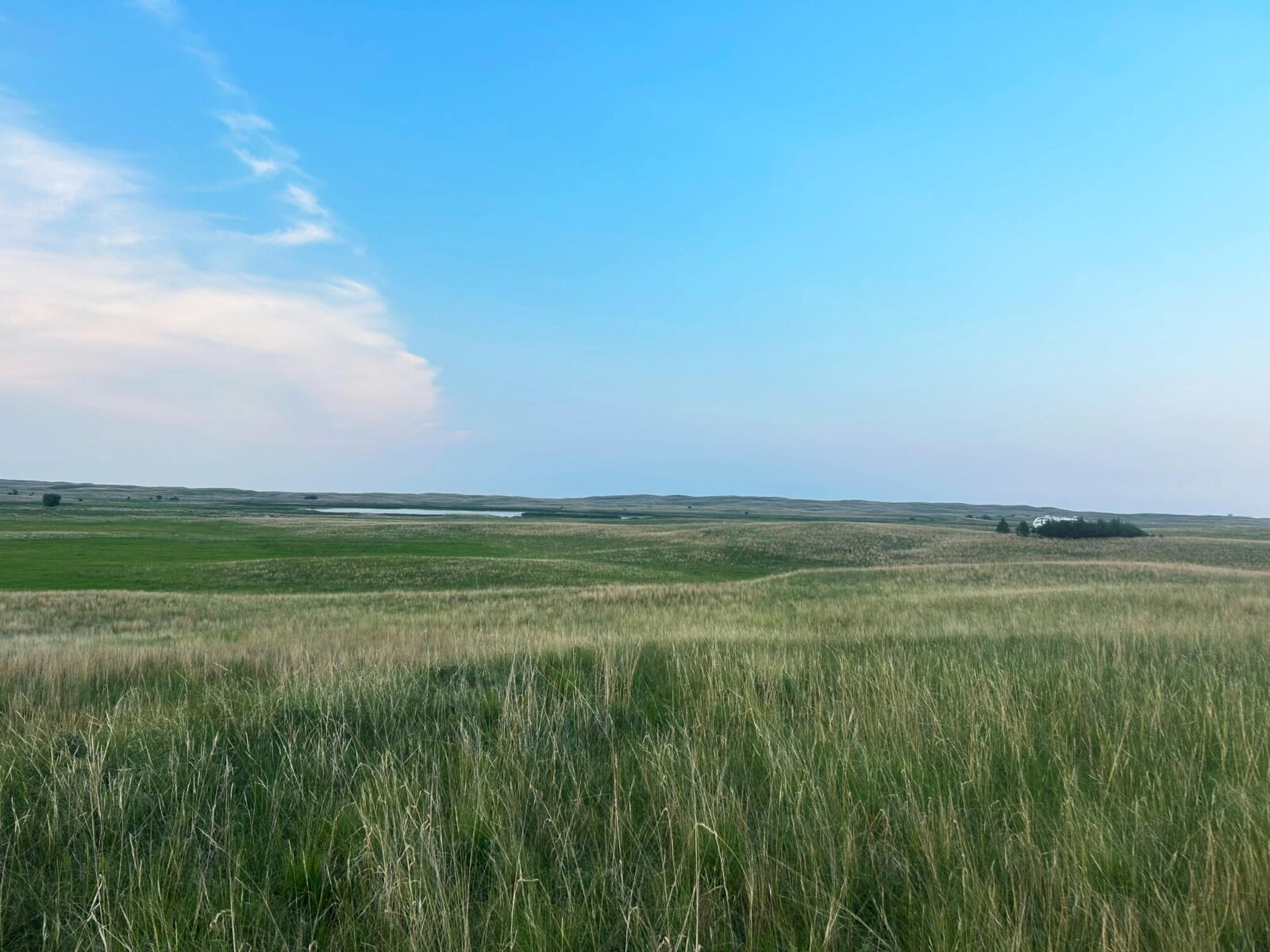 39 Acres, Brown County, Yellowthroat Haven