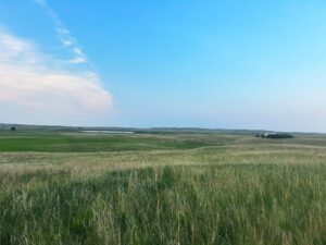 39 Acres, Brown County, Yellowthroat Haven