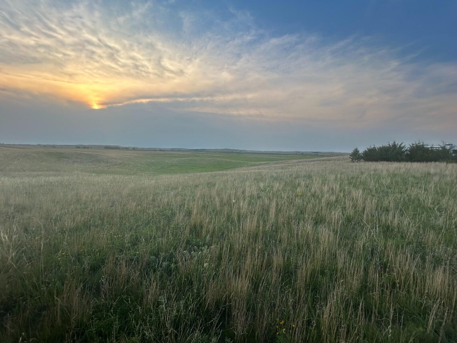 39 Acres, Brown County, Yellowthroat Haven