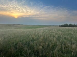 39 Acres, Brown County, Yellowthroat Haven