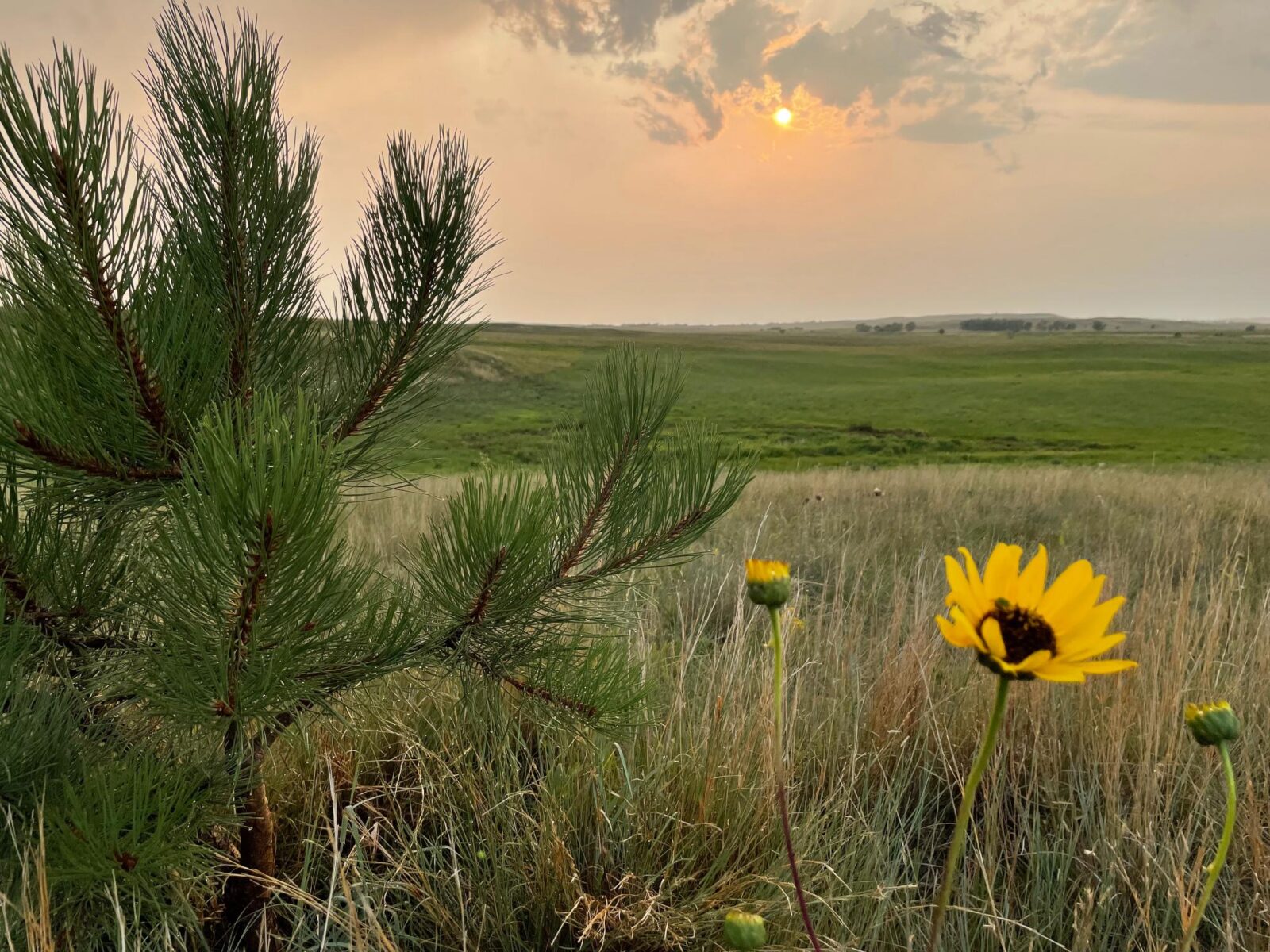 Ainsworth Nebraska acreage for sale