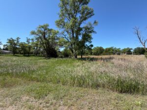 Long Pine, NE cabin and acreage for sale