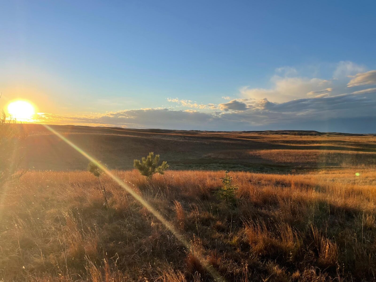 Ainsworth Nebraska acreage for sale