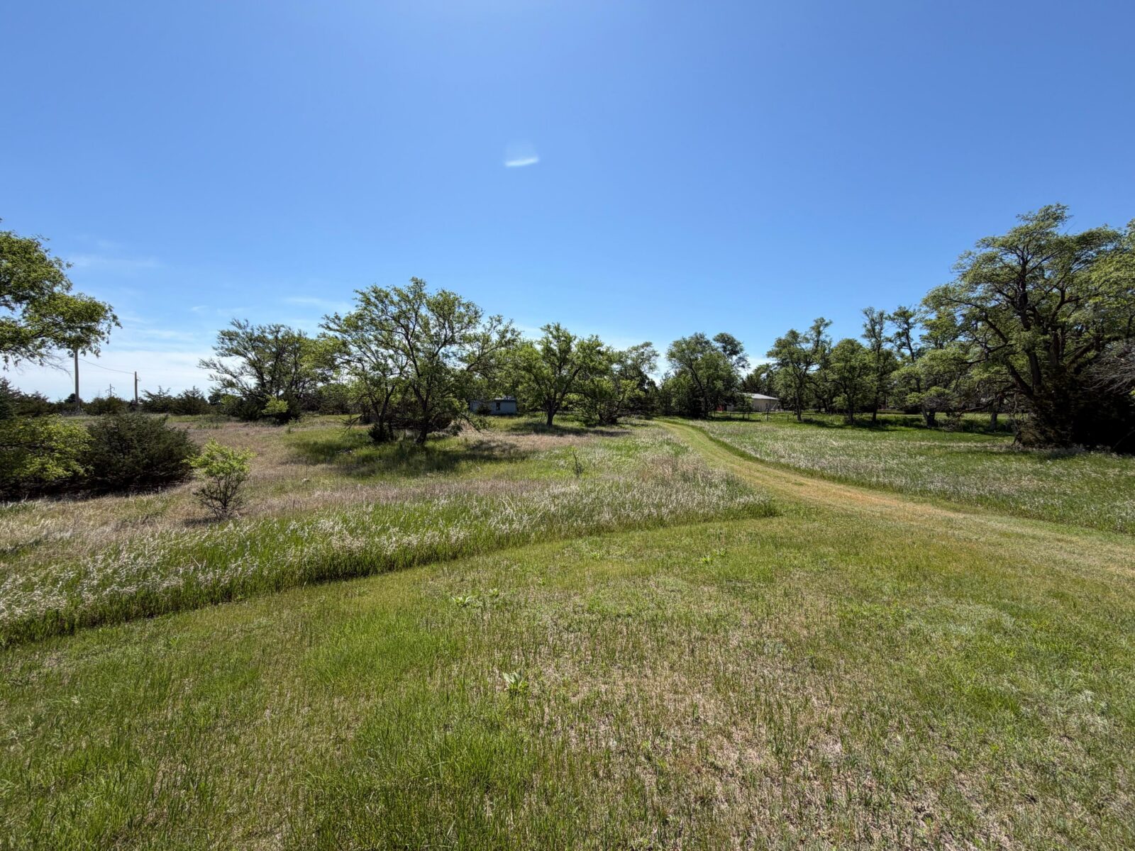 Long Pine, NE cabin and acreage for sale