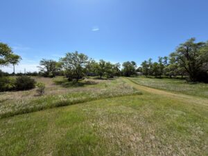 Long Pine, NE cabin and acreage for sale