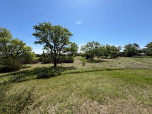 Long Pine, NE cabin and acreage for sale