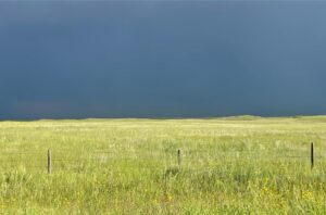 Ainsworth Nebraska acreage for sale