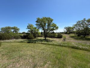 Long Pine, NE cabin and acreage for sale