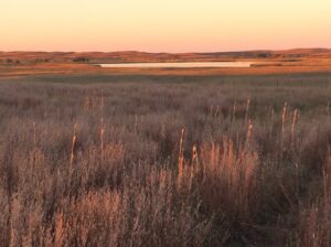 Ainsworth Nebraska acreage for sale