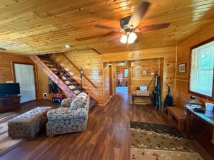 Long Pine, NE cabin and acreage for sale