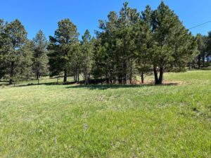 vacant land for sale chadron, ne
