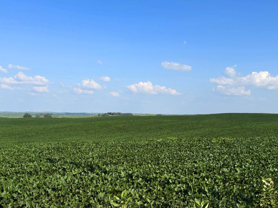 Cedar County Dryland farm for sale