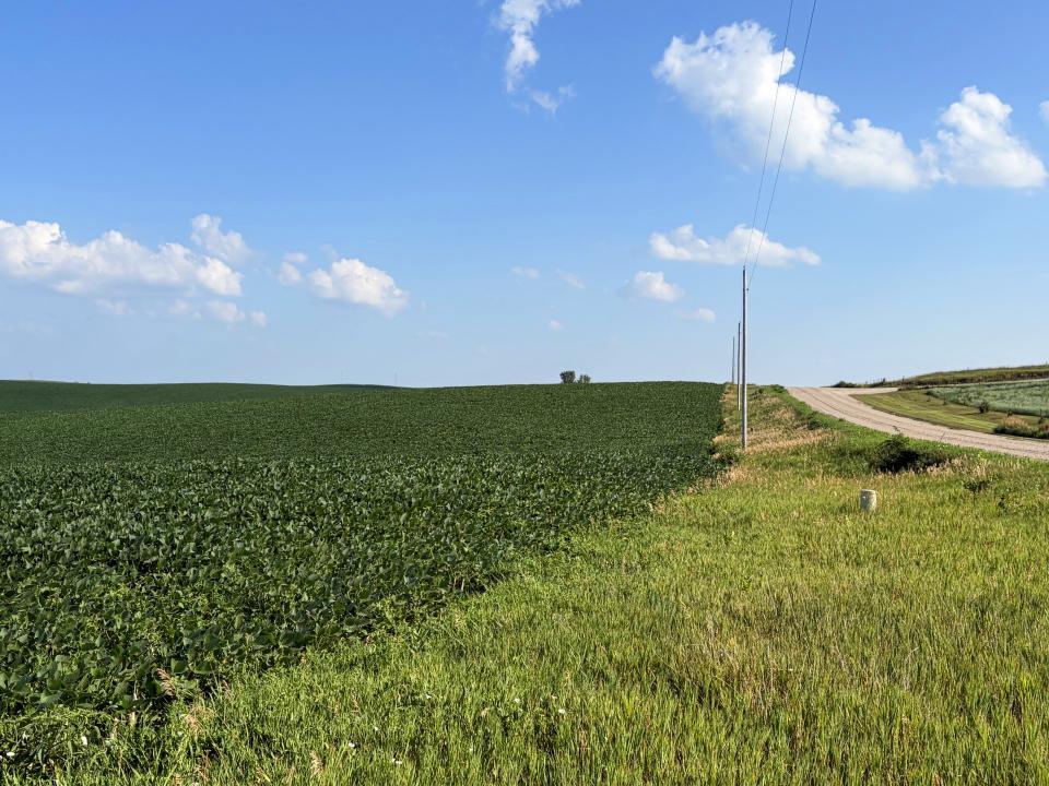 Cedar County Dryland farm for sale