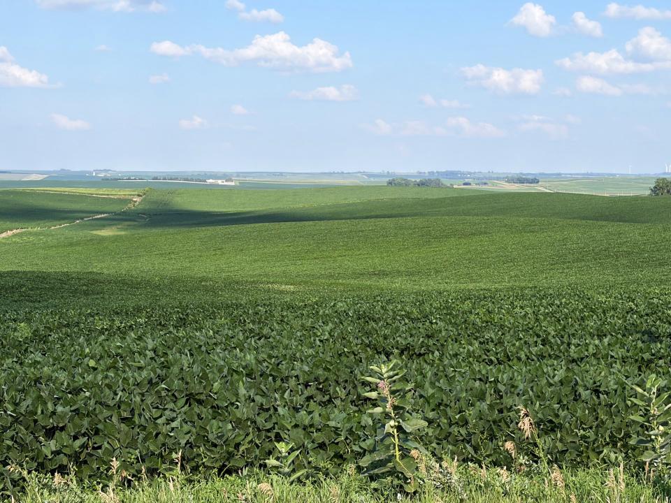 Cedar County Dryland farm for sale