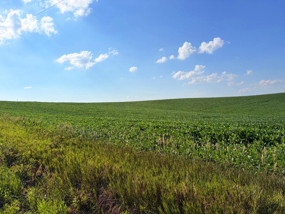 Cedar County Dryland farm for sale