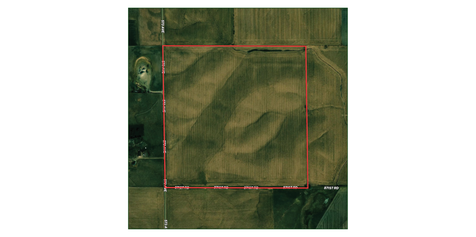 160 Acres, Cedar County Dryland