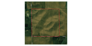 160 Acres, Cedar County Dryland