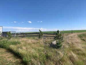 7681 Johnson Road, Heminford, NE home acreage for sale