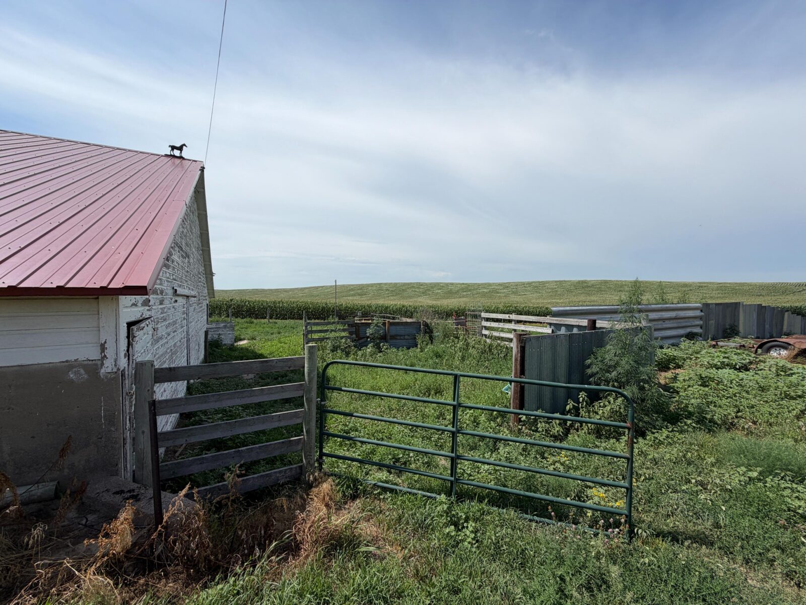 Hobby farm for sale Stapleton, NE