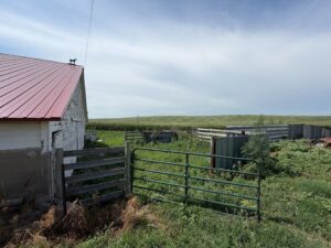 Hobby farm for sale Stapleton, NE