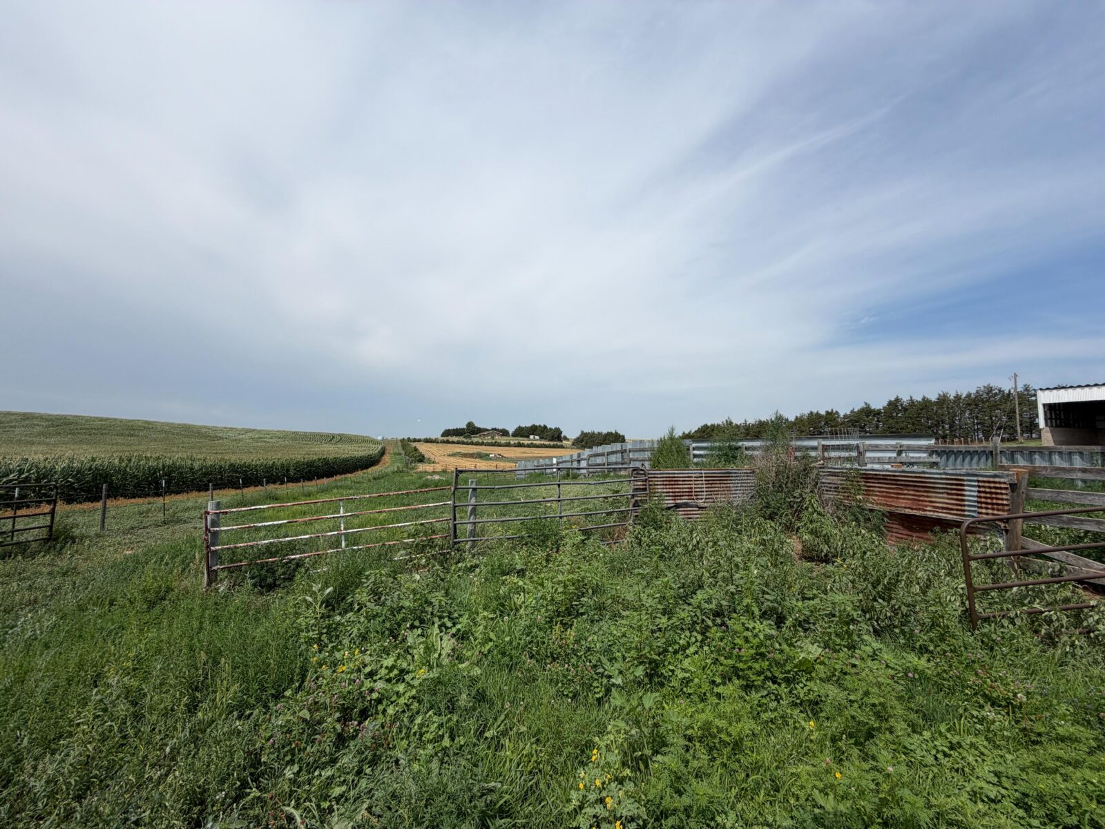 Hobby farm for sale Stapleton, NE