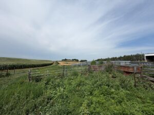 Hobby farm for sale Stapleton, NE