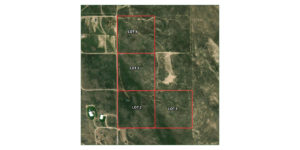 40 Acres, Keith County, Land at Lake McConaughy