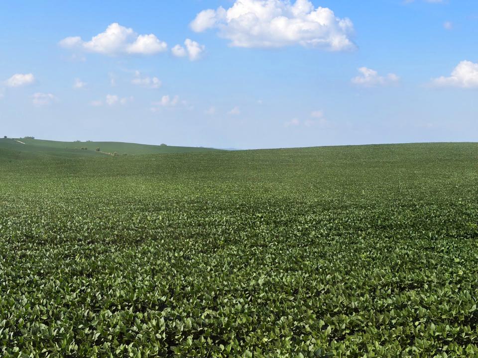 Cedar County Dryland farm for sale