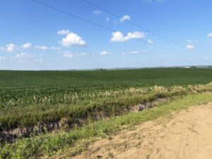 Cedar County Dryland farm for sale
