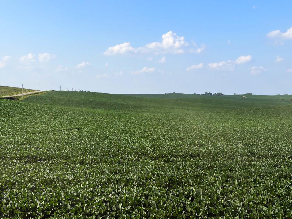 Cedar County Dryland farm for sale
