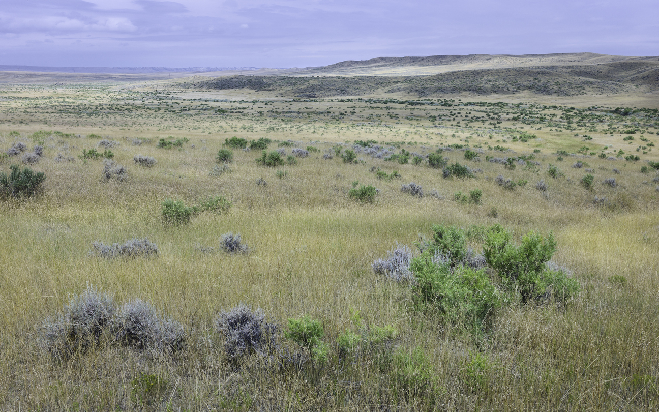 Capital Gains & Tax Planning When Selling Land  