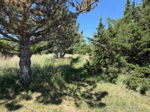 42444 US hwy 20 Ainsworth, Nebraska home and acreage for sale